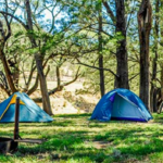 2 blue tents on the Capertee National Park campground with a fireplace burning in the foreground.