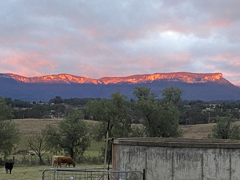 Sunrise in the Capertee Valley, the early morning rays reflecting of the sandstone cliffs of Genowlan Mountain. Farm in the foreground with a cement water tank and some cattle feeding.Low undulating green hills in the foreground.