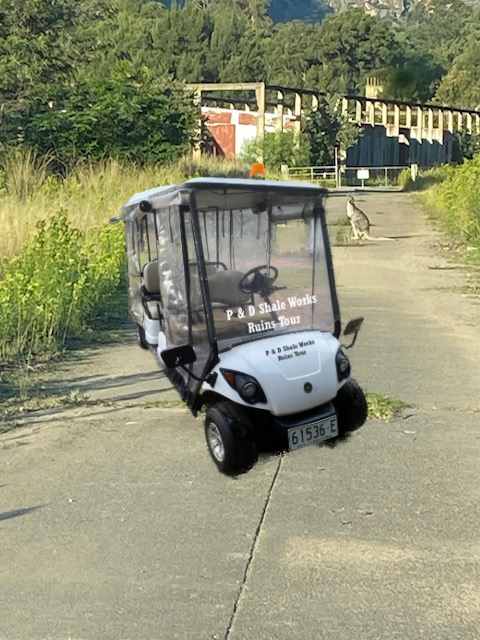 New tour transporter option - Yamaha Concierge 6 seats Electric Vehicle. In background is Wallaby standing on works drive at the Glen Davis Shale works with Machinery shed in the background. The picture shows the SAS Australia TV series 2 set within the Machinery shed structure.