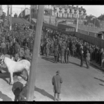 Historical picture of 1930’s depression, showing the multiple people out of work just wandering the streets looking for jobs, in foreground is a white horse with blinkers.